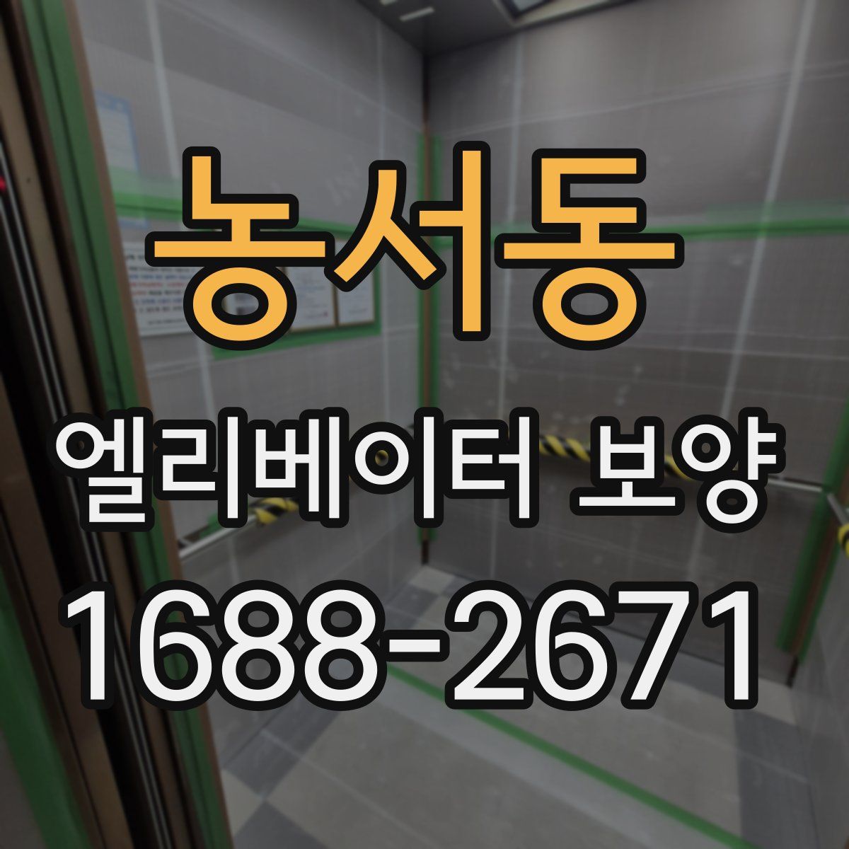 농서동 엘리베이터 보양