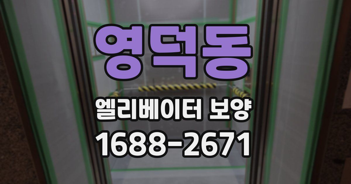 영덕동 엘리베이터 보양