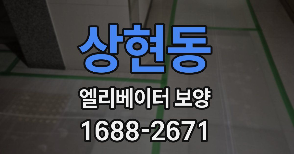 상현동 엘리베이터 보양