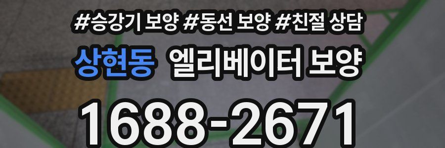 상현동 엘리베이터 보양