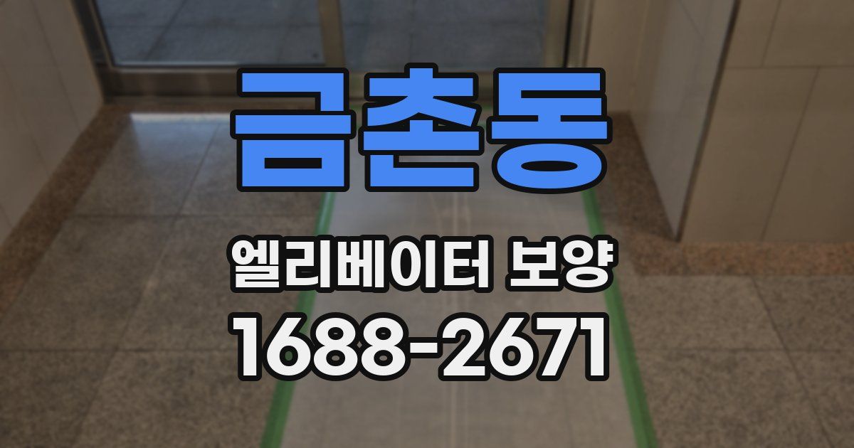 금촌동 엘리베이터 보양