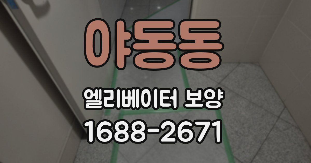 야동동 엘리베이터 보양