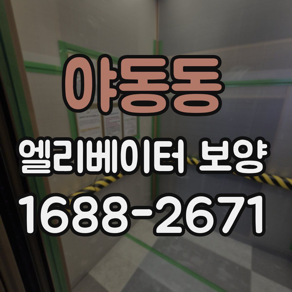 야동동 엘리베이터 보양