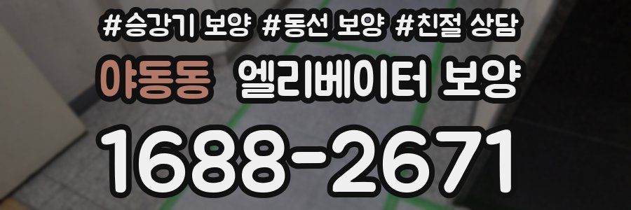야동동 엘리베이터 보양