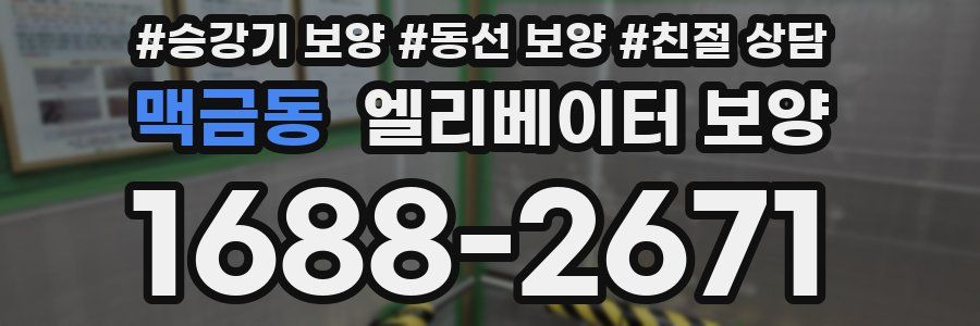 맥금동 엘리베이터 보양