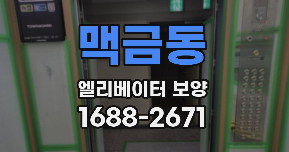 맥금동 엘리베이터 보양