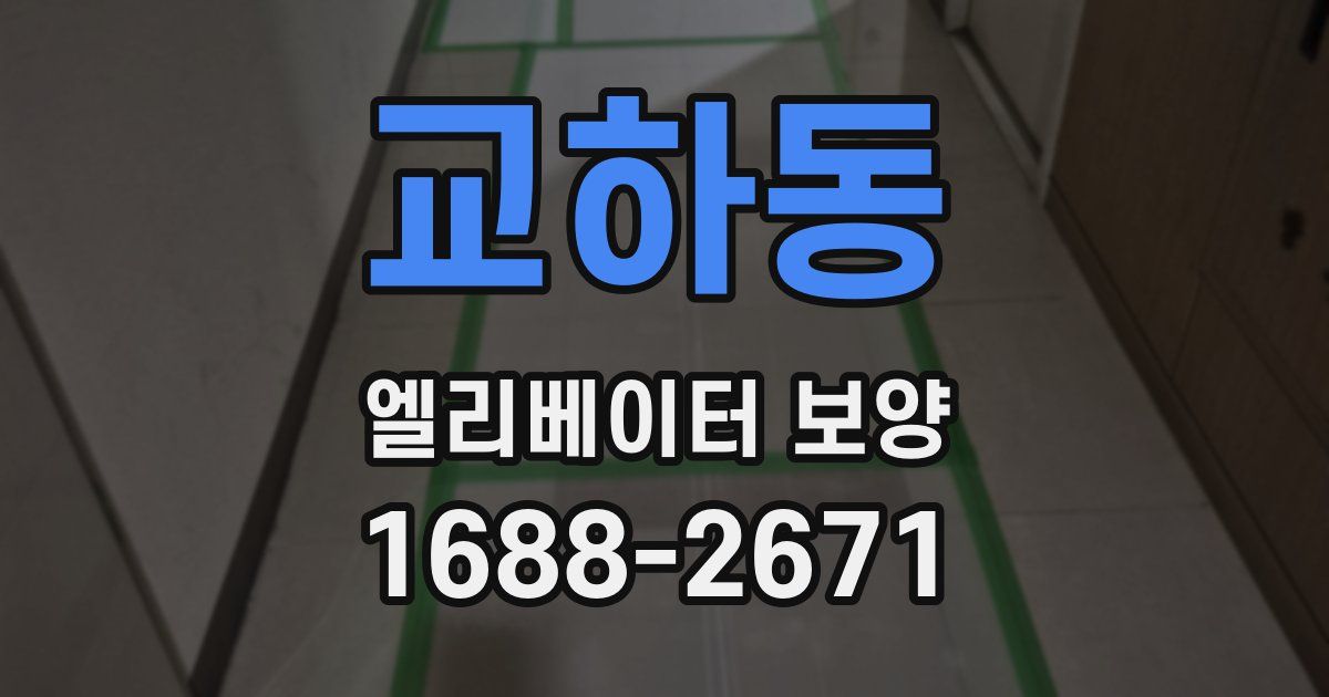 교하동 엘리베이터 보양