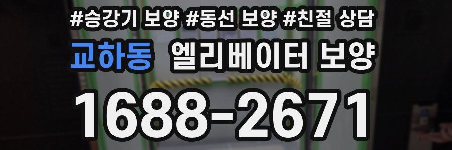 교하동 엘리베이터 보양