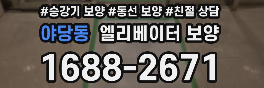 야당동 엘리베이터 보양