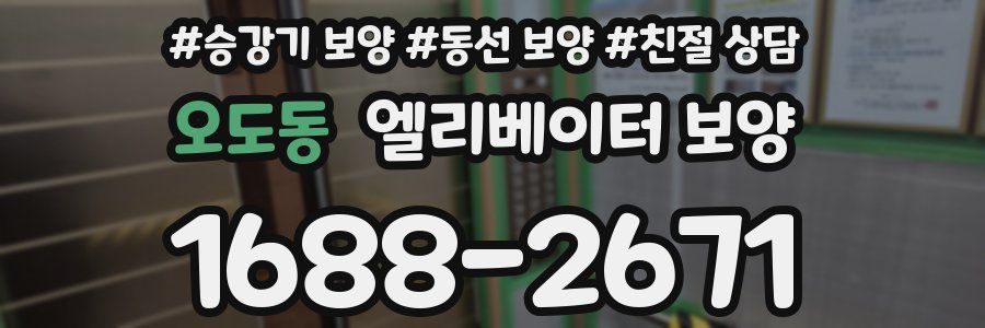 오도동 엘리베이터 보양