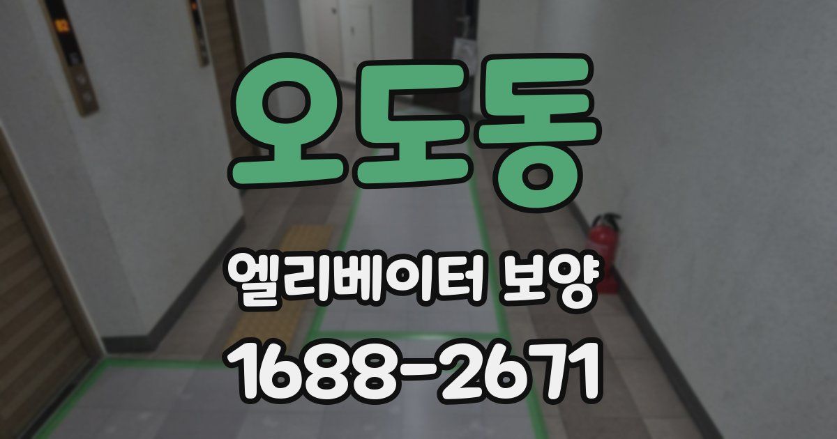 오도동 엘리베이터 보양