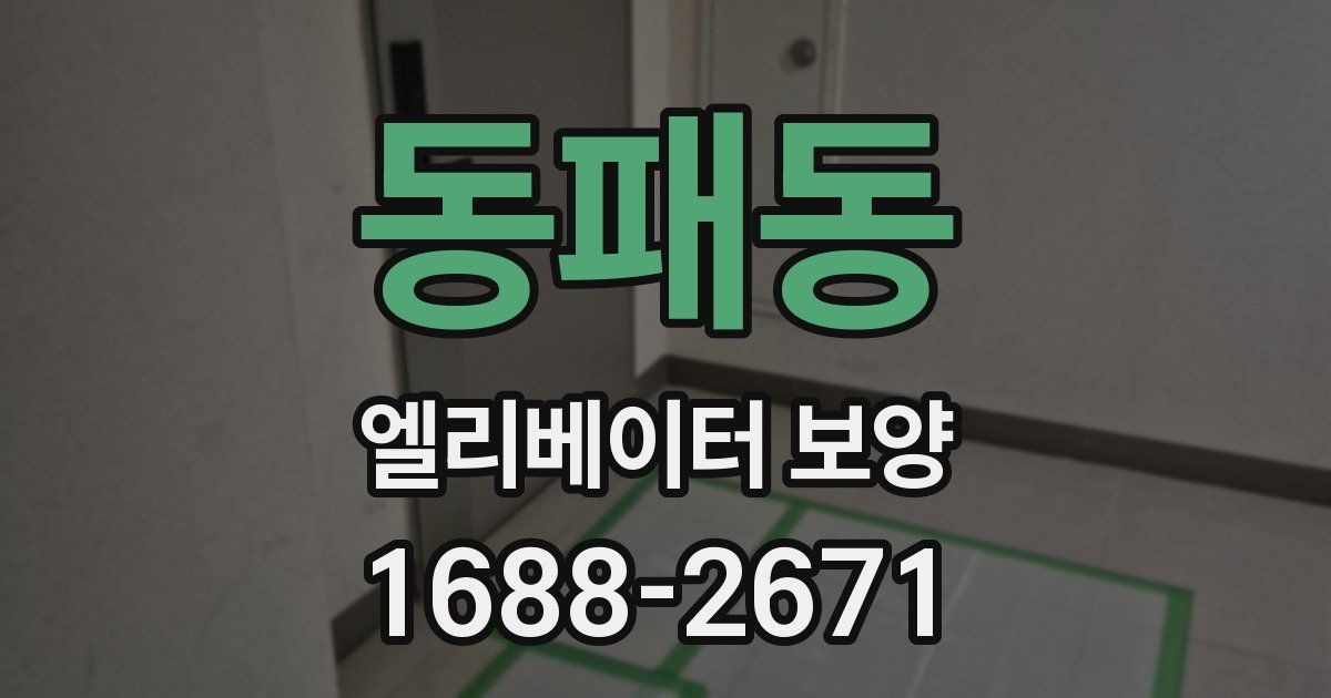 동패동 엘리베이터 보양