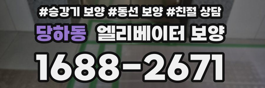 당하동 엘리베이터 보양