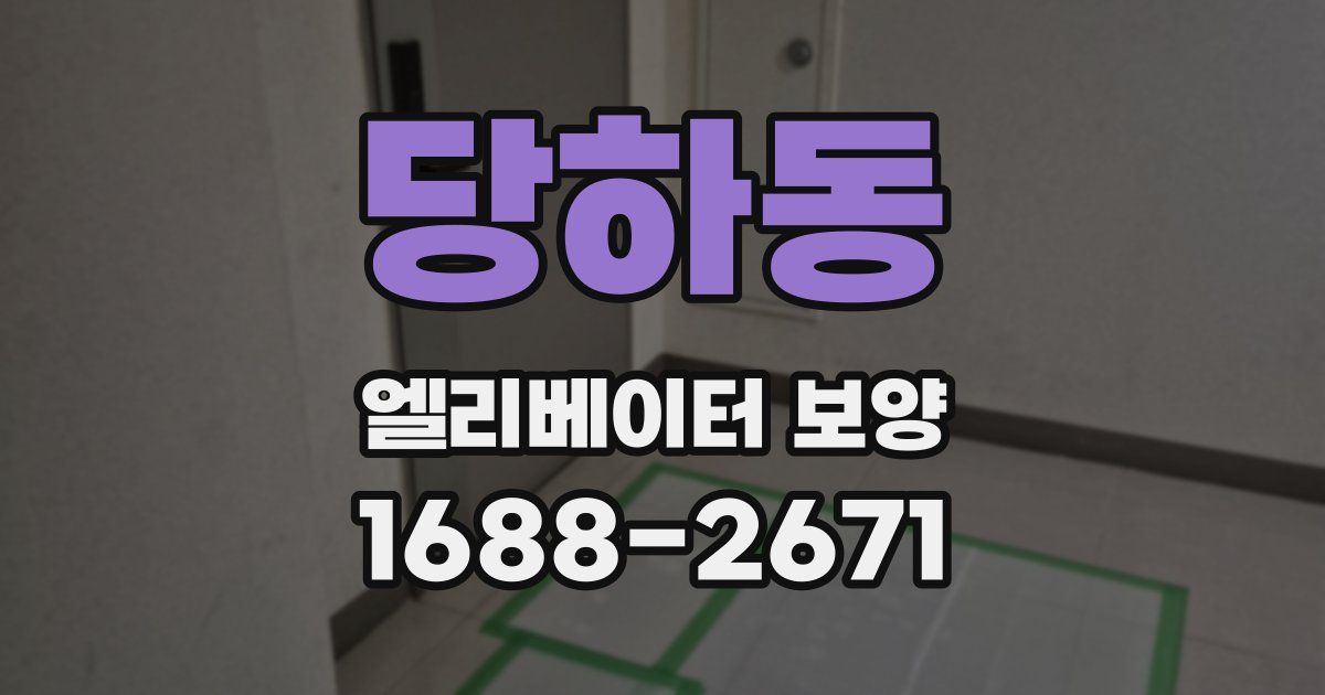 당하동 엘리베이터 보양