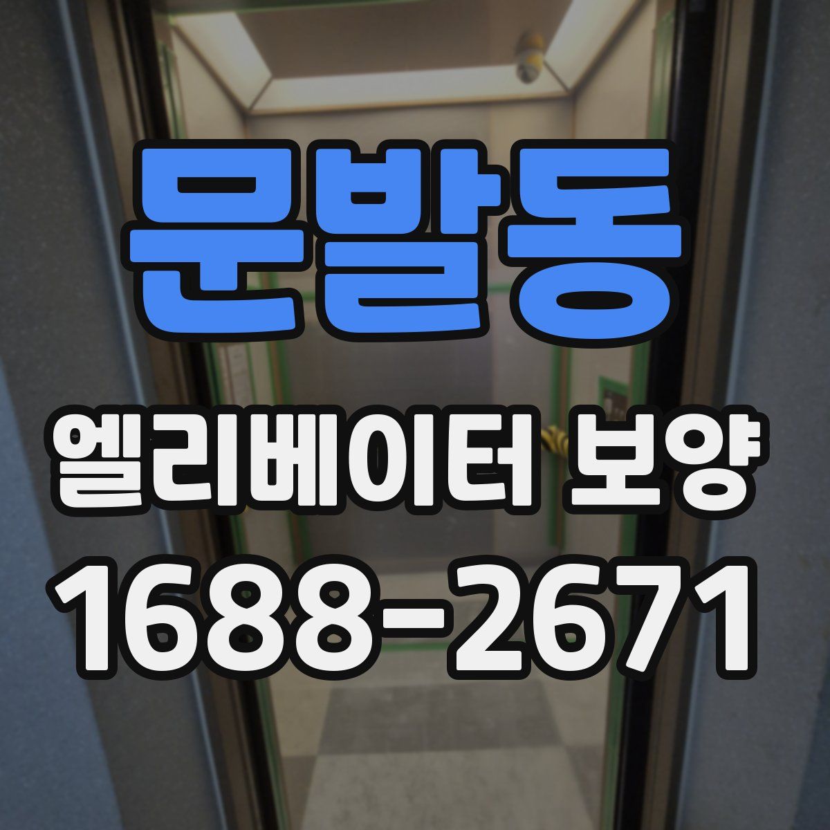 문발동 엘리베이터 보양