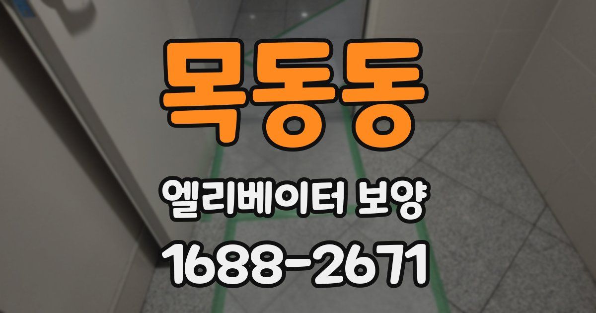 목동동 엘리베이터 보양