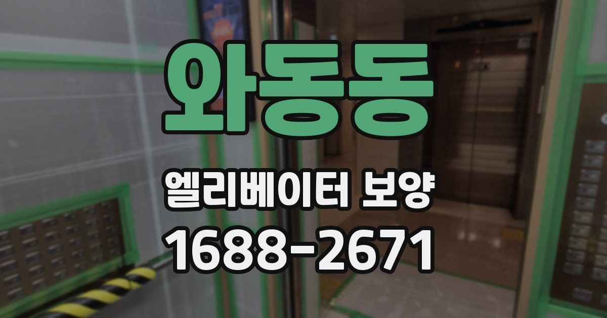 와동동 엘리베이터 보양