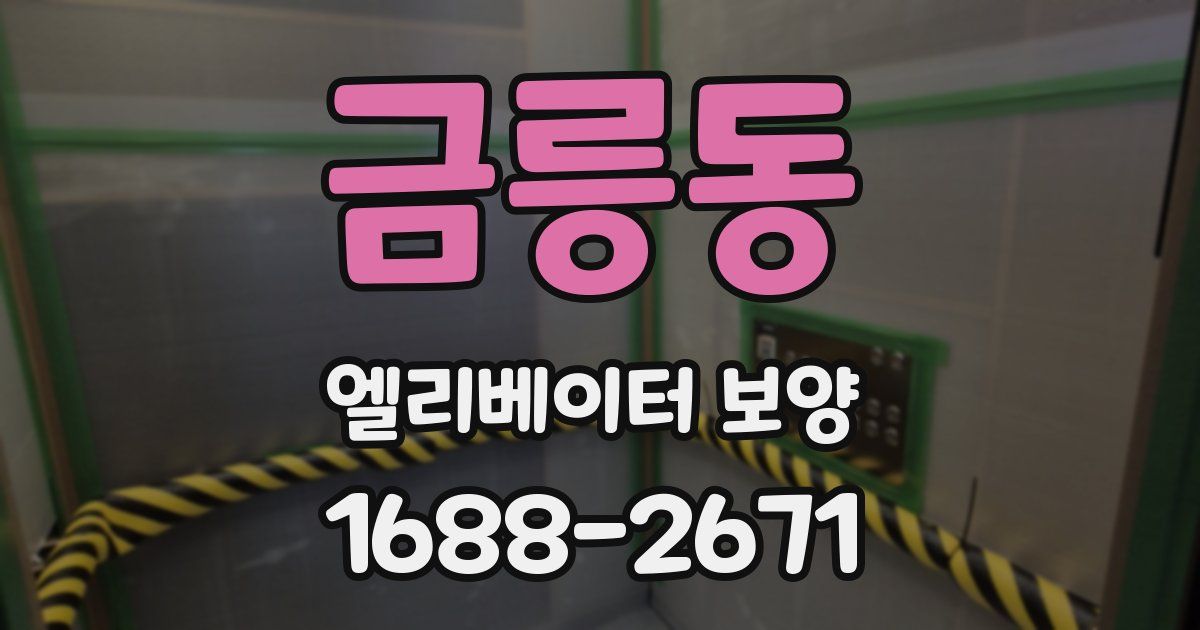 금릉동 엘리베이터 보양