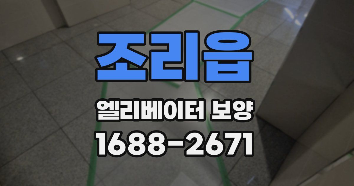 조리읍 엘리베이터 보양