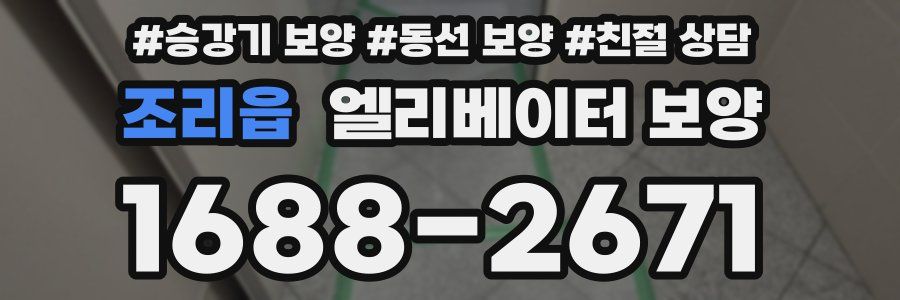 조리읍 엘리베이터 보양