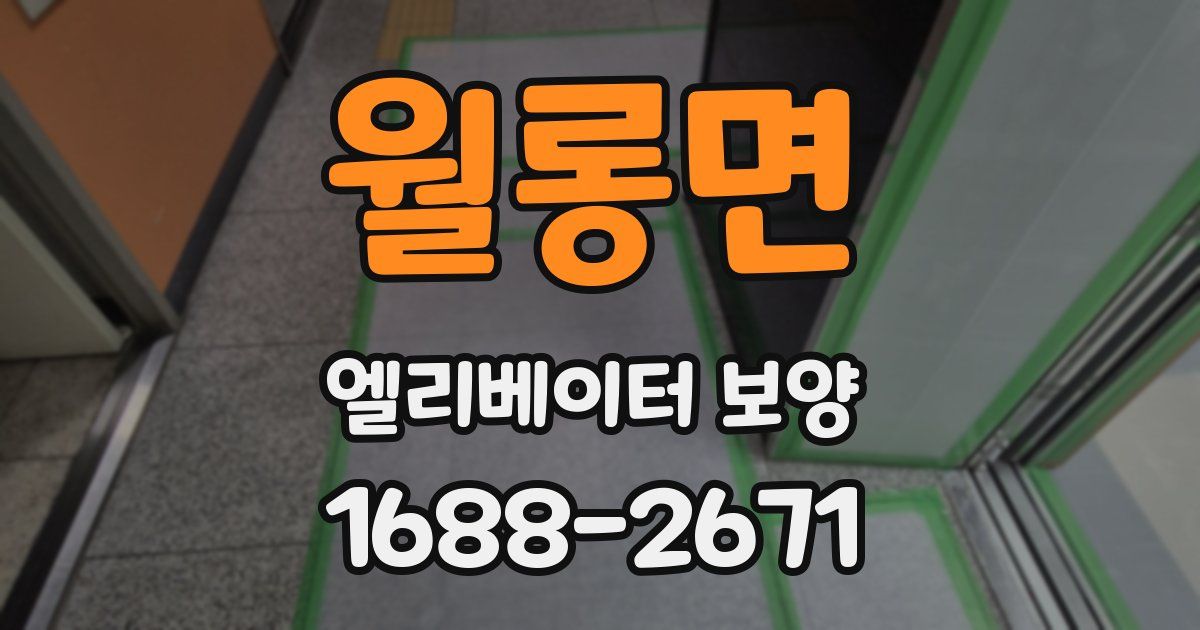 월롱면 엘리베이터 보양