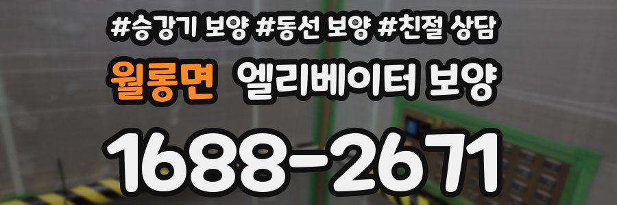 월롱면 엘리베이터 보양