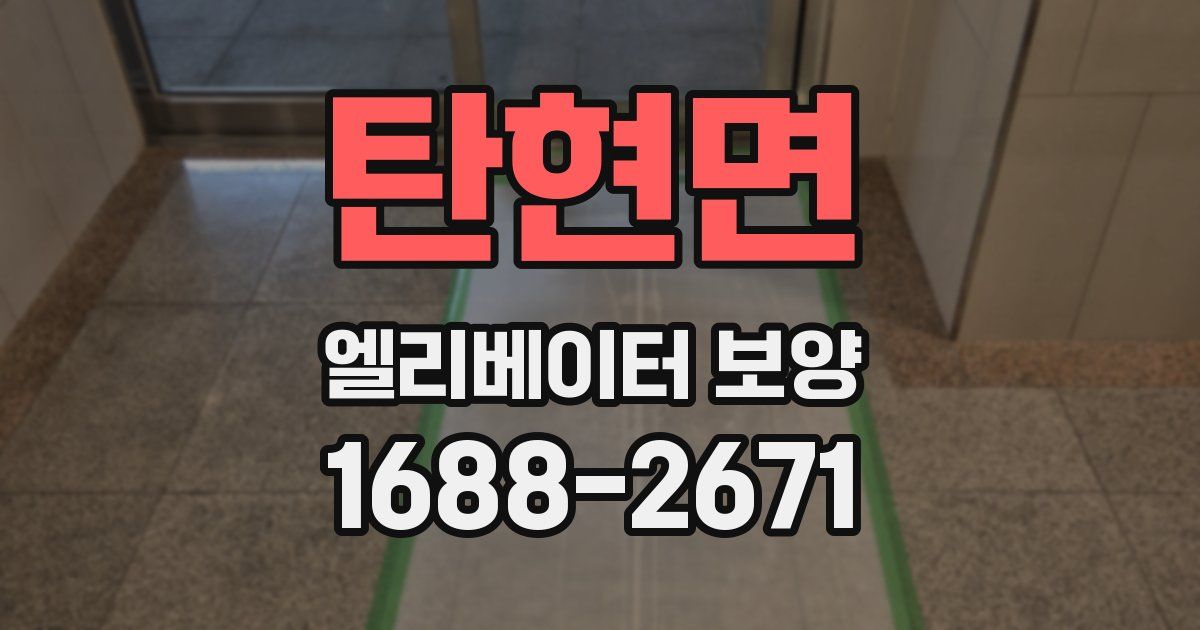 탄현면 엘리베이터 보양
