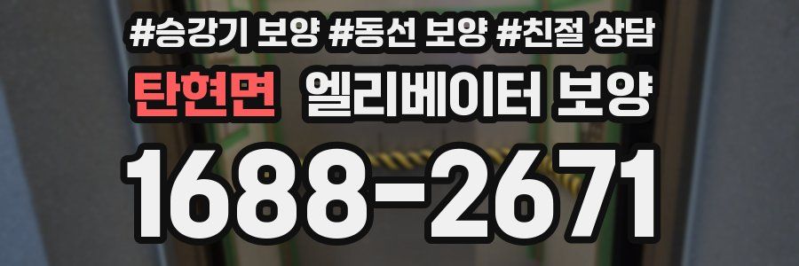 탄현면 엘리베이터 보양