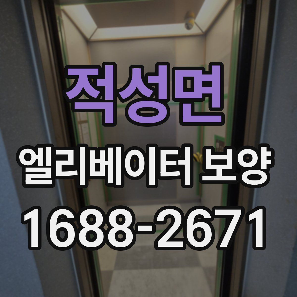 적성면 엘리베이터 보양