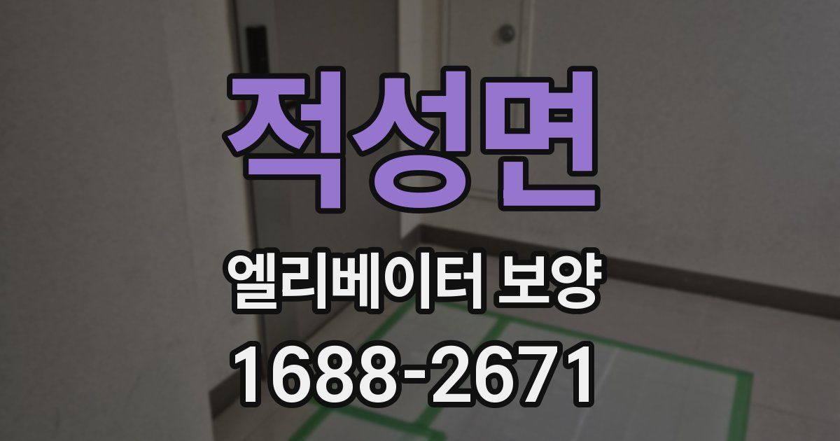 적성면 엘리베이터 보양