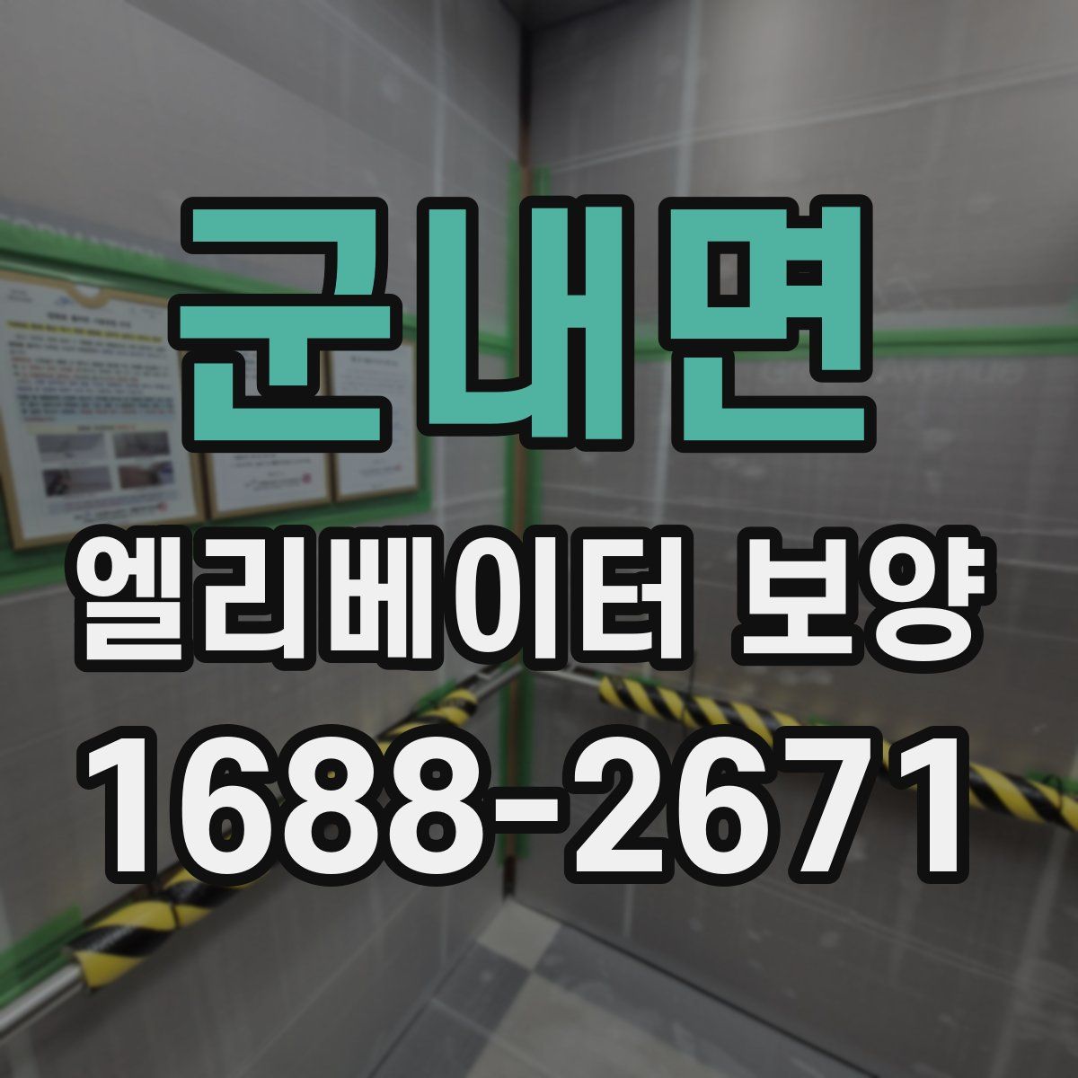 군내면 엘리베이터 보양