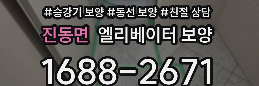 진동면 엘리베이터 보양