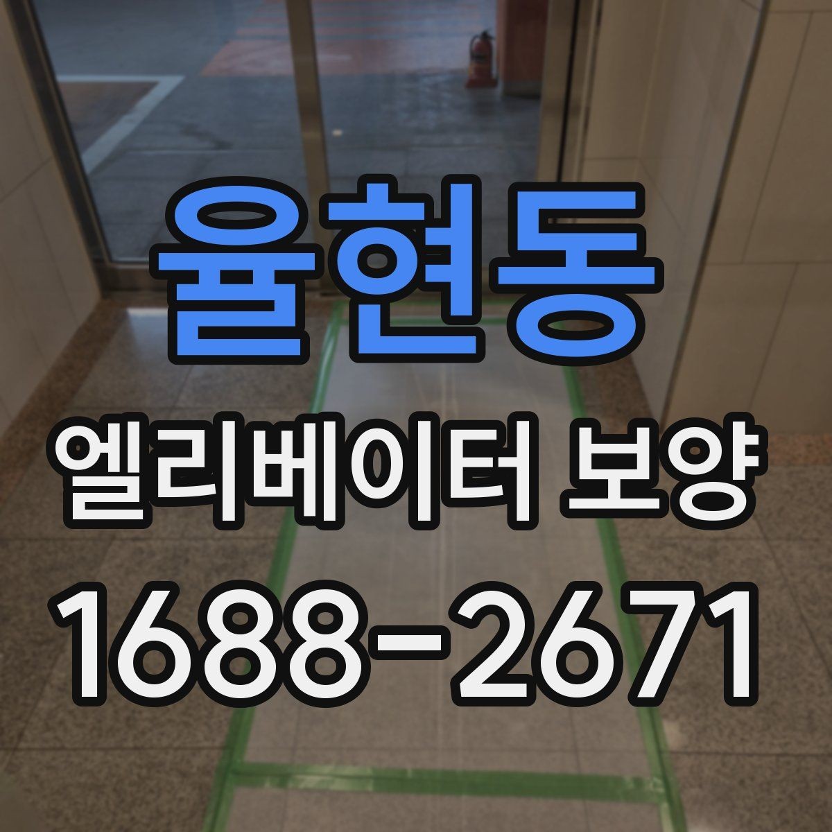 율현동 엘리베이터 보양 종류별 특징과 활용 상황