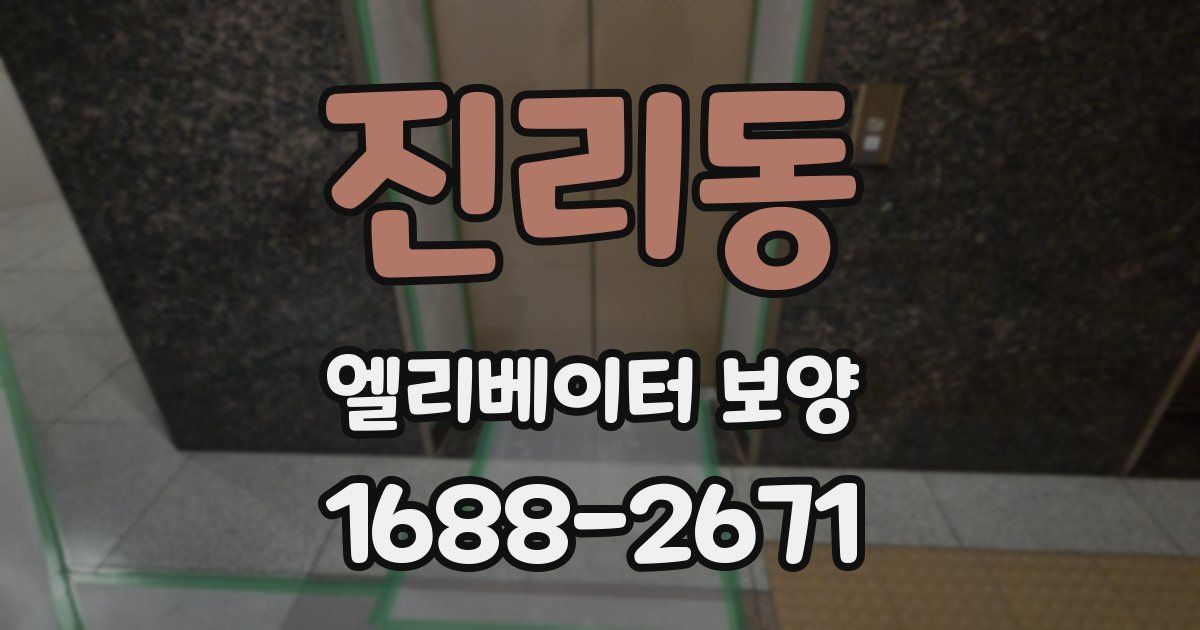 진리동 엘리베이터 보양