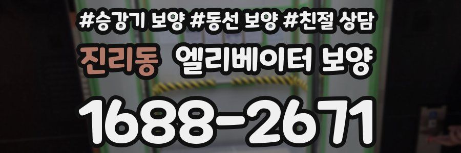 진리동 엘리베이터 보양