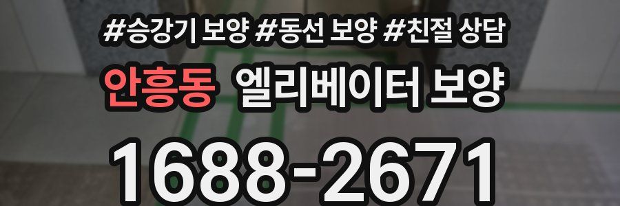 안흥동 엘리베이터 보양