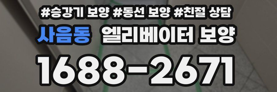 사음동 엘리베이터 보양