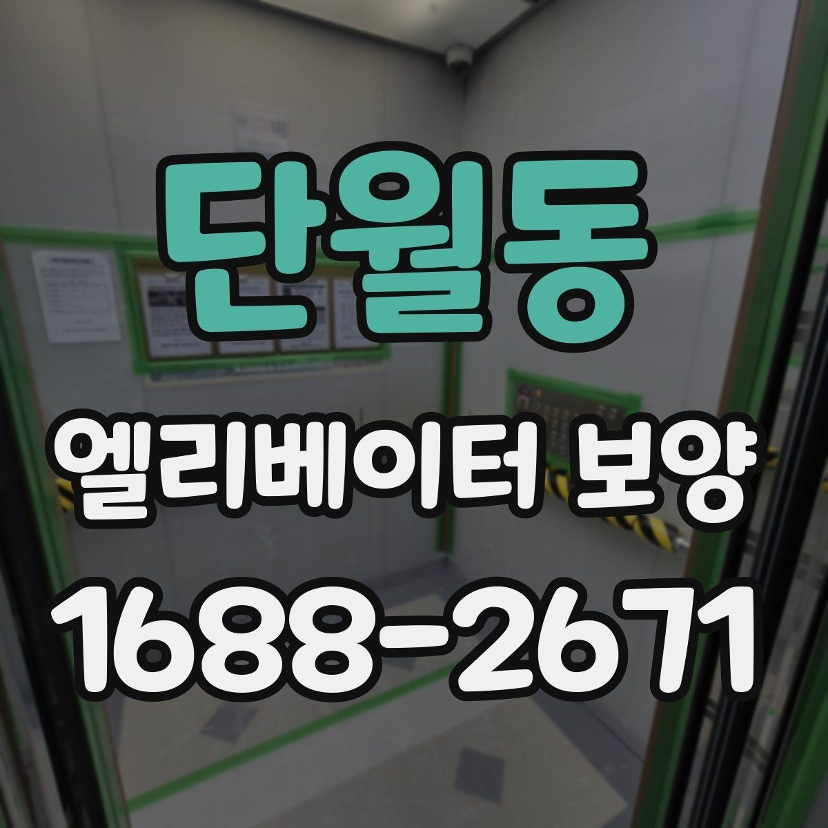 단월동 엘리베이터 보양 현장별 맞춤 적용 사례