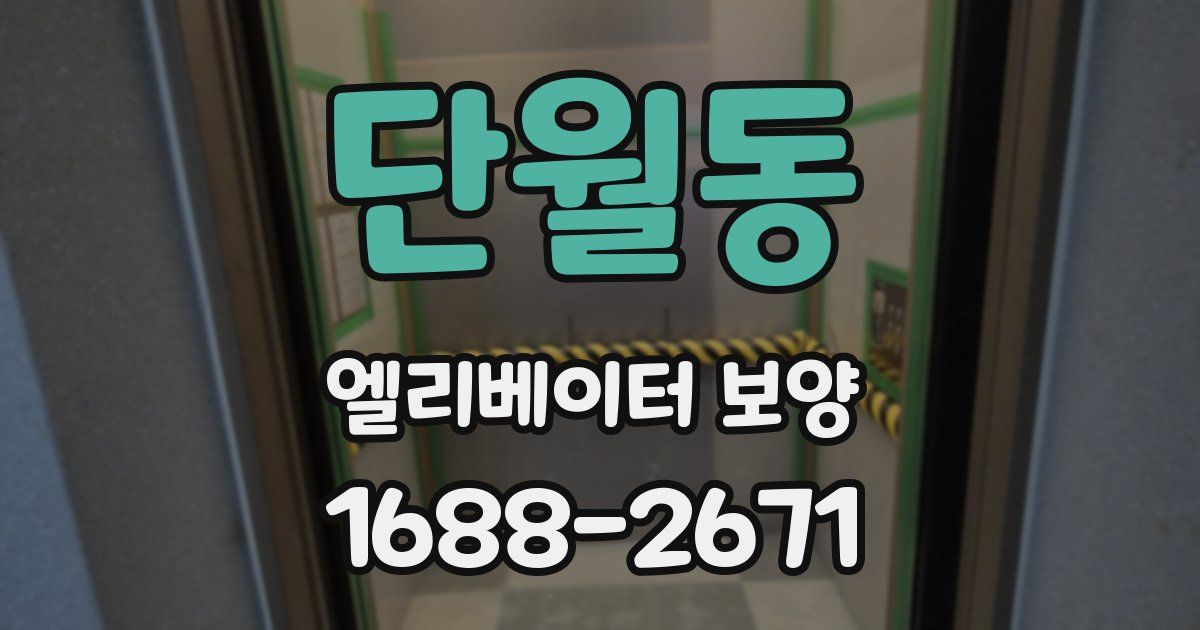 단월동 엘리베이터 보양