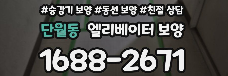 단월동 엘리베이터 보양