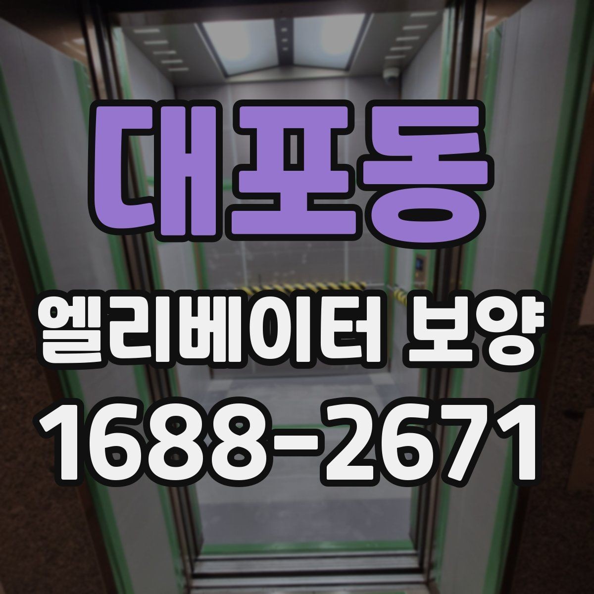 대포동 엘리베이터 보양 재료별 장단점 살펴보기