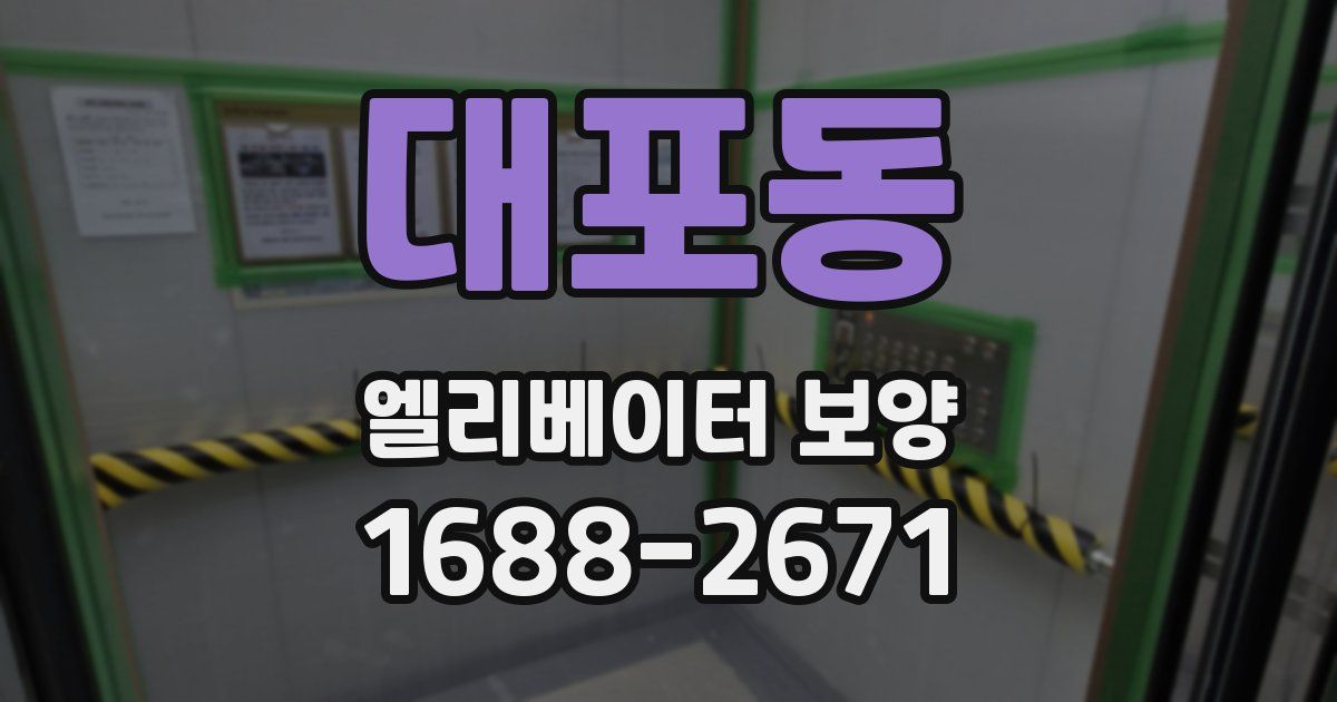 대포동 엘리베이터 보양