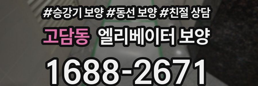 고담동 엘리베이터 보양