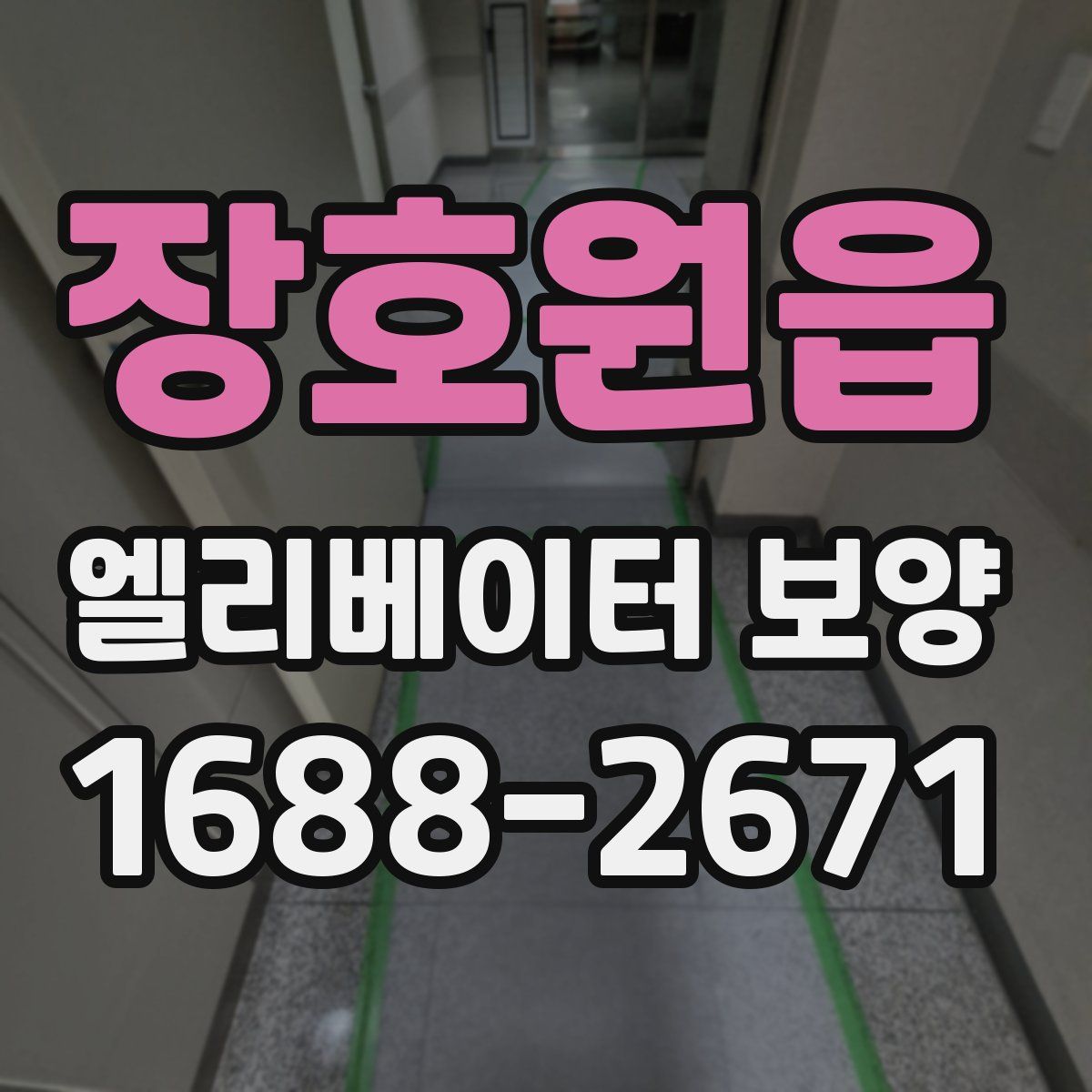 장호원읍 엘리베이터 보양