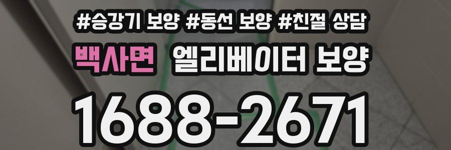 백사면 엘리베이터 보양