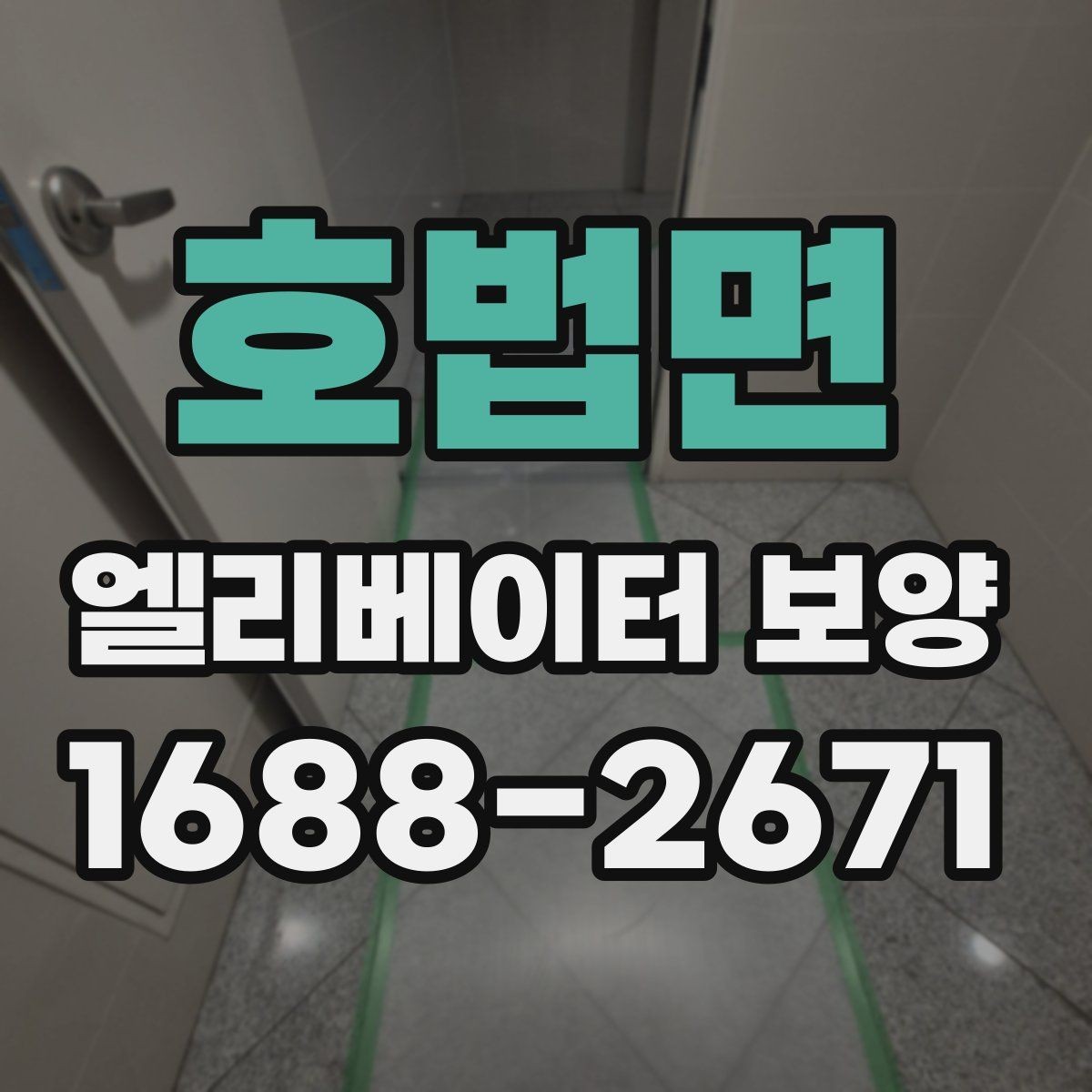 호법면 엘리베이터 보양 업체와 협의할 때 질문할 내용