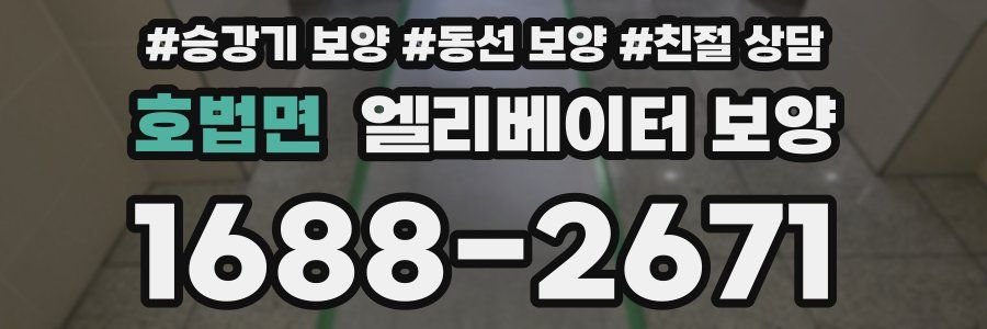 호법면 엘리베이터 보양
