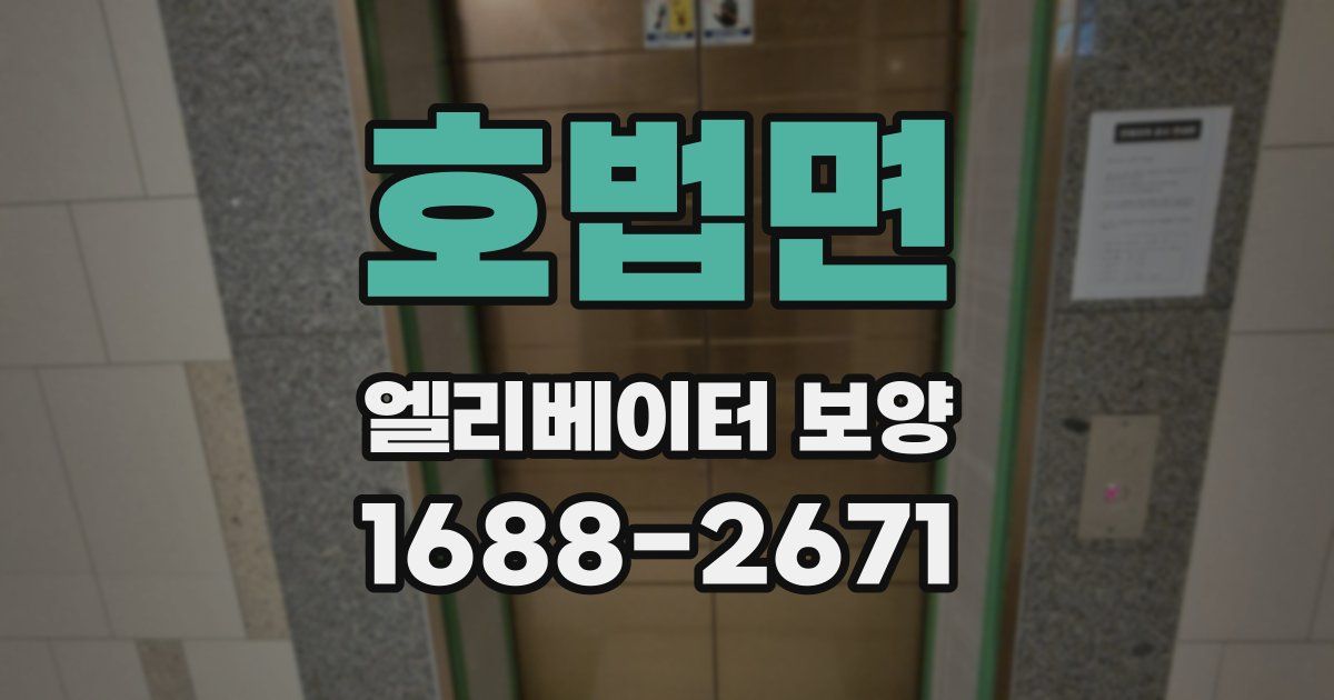 호법면 엘리베이터 보양