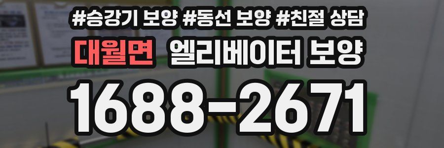 대월면 엘리베이터 보양
