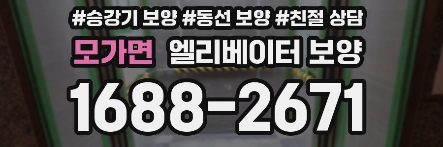 모가면 엘리베이터 보양